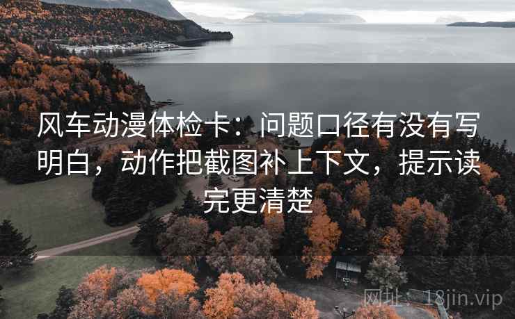 风车动漫体检卡：问题口径有没有写明白，动作把截图补上下文，提示读完更清楚